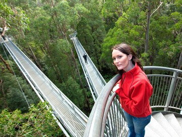 Great Ocean Road Discovery Day Tour